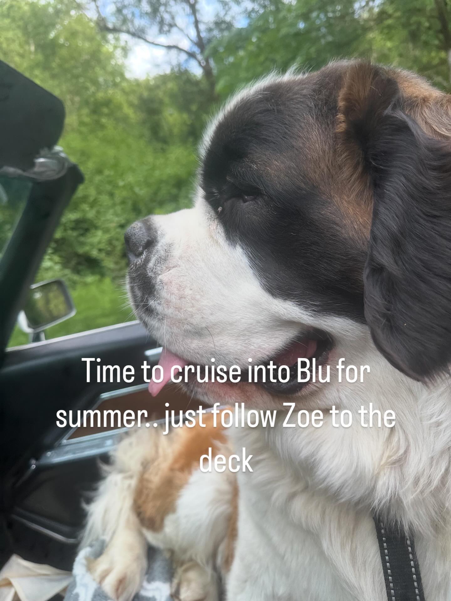 Cruise into Blu — just follow Zoe to the deck