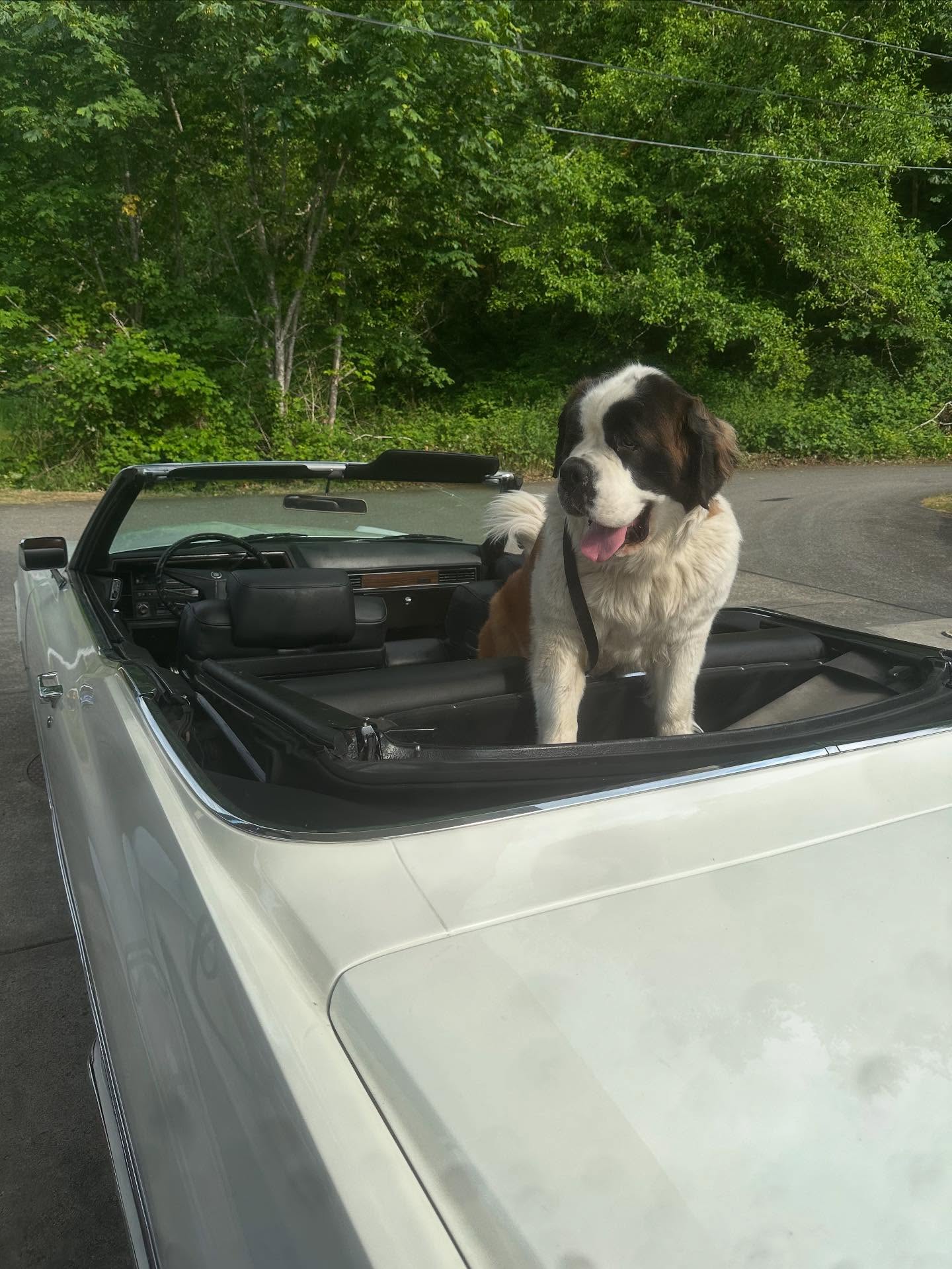 Cruise into Blu — just follow Zoe to the deck