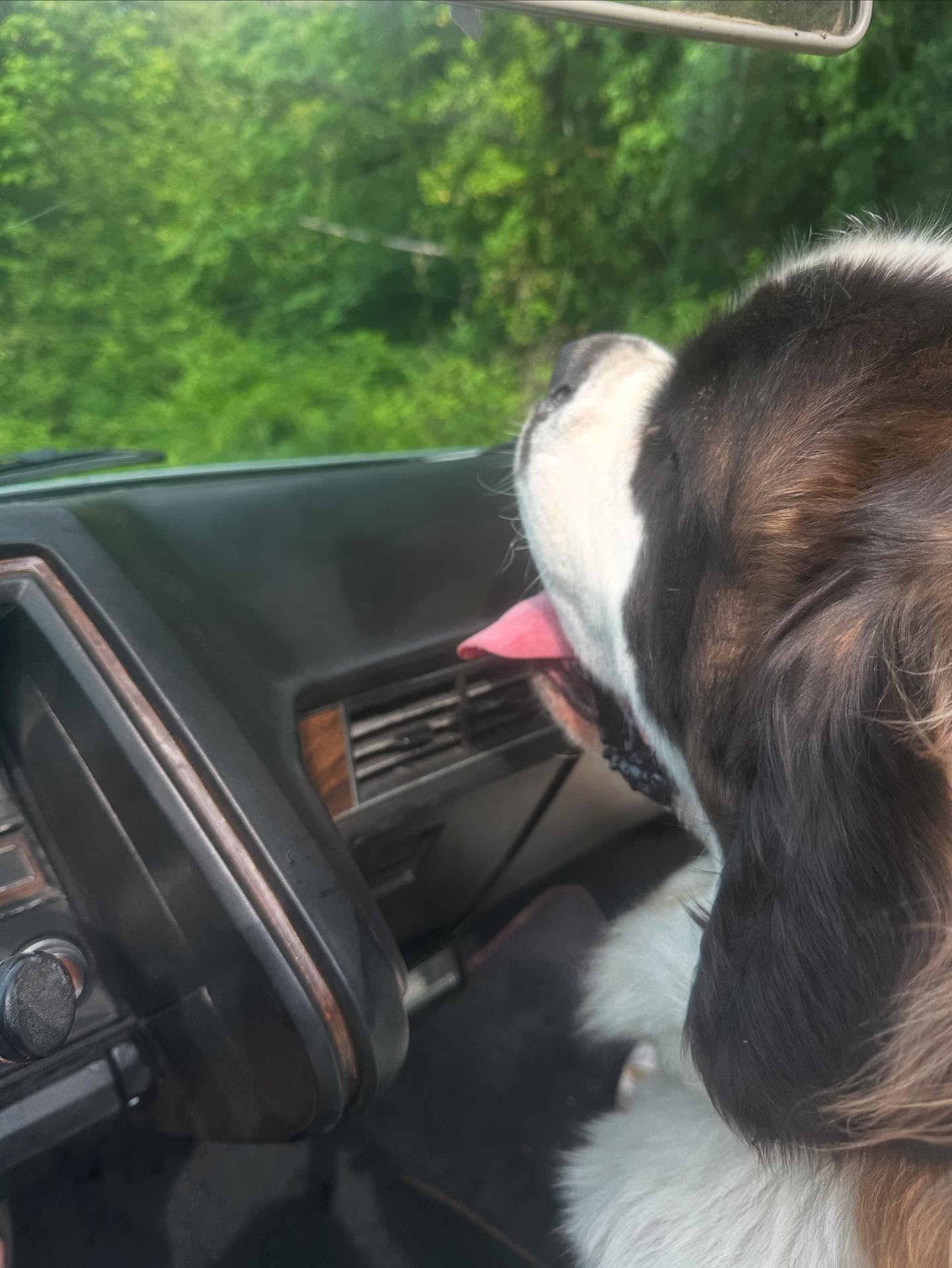 Cruise into Blu — just follow Zoe to the deck