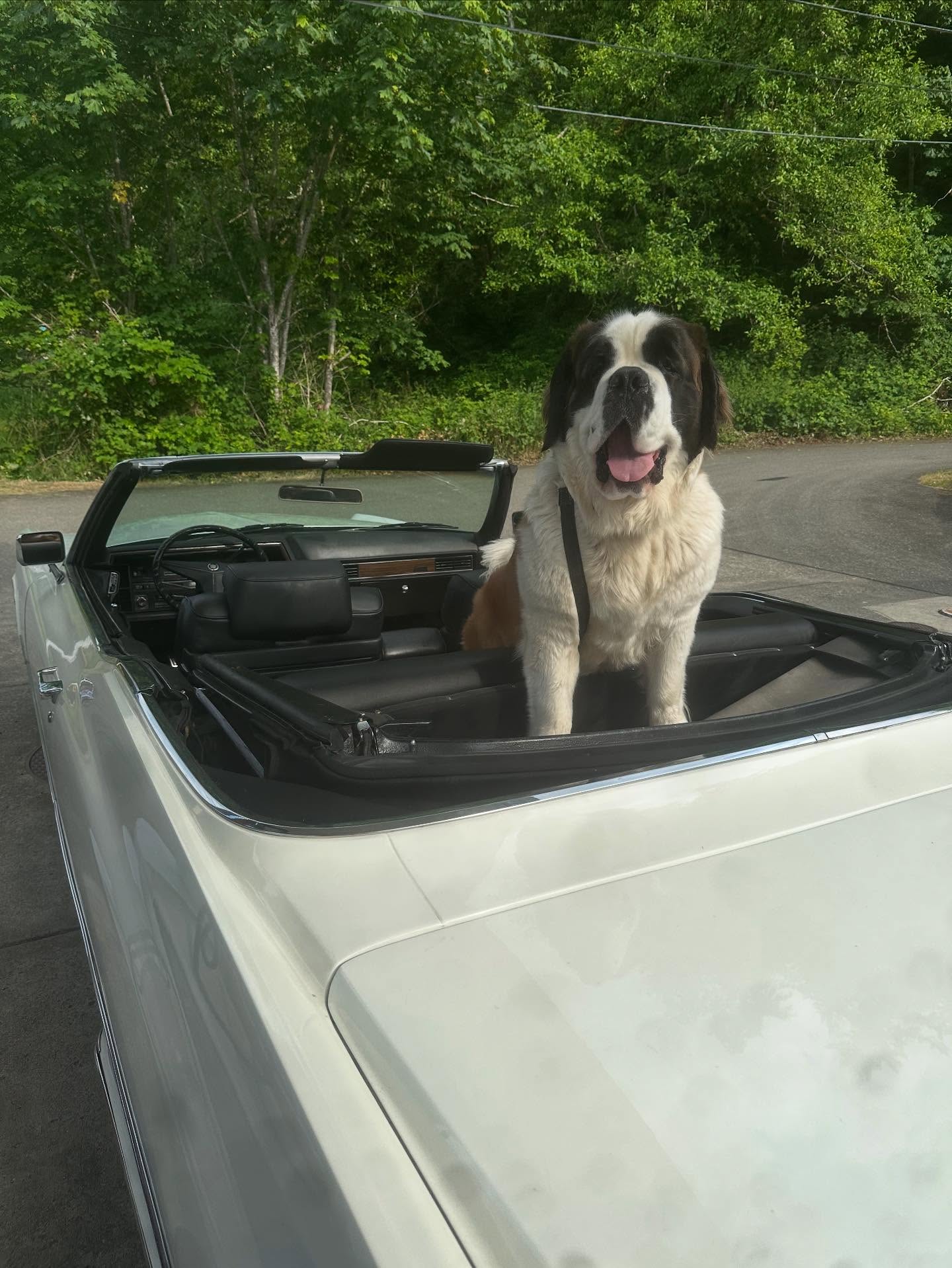 Cruise into Blu — just follow Zoe to the deck